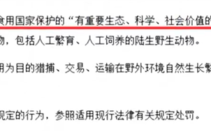 致害26省 野猪肉为啥不能摆上餐桌 专家：盲目开放捕猎破坏食物链！