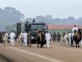 再创先河！印度阅兵将首次派出军用动物方队：有骆驼、马还有鸟 ！