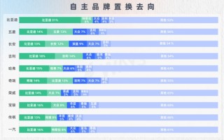 比亚迪车主忠诚度高的离谱：31%换车还买比亚迪！
