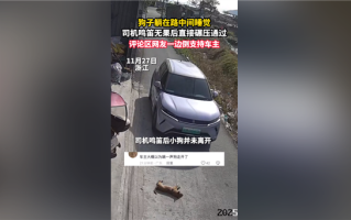 狗在路中间睡觉司机鸣笛无效后辗压 网友吵翻：到底要负责吗？