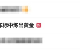 小米SU7 Ultra车标中炼出黄金：二手平台已有车标平替 律师称“侵权”！