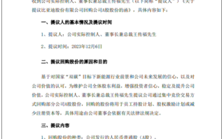 王传福提议2亿元回购比亚迪A股股份：用于员工持股计划、股权激励等！