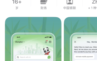 中国银联正式发布“你好！中国”APP 图标是大熊猫 ！