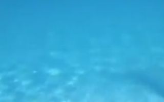 中国女游客为捞相机命丧87米海底 网友热议！