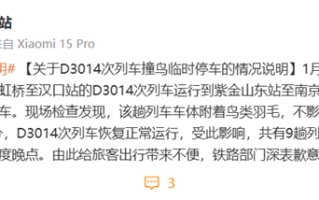 动车组列车因撞鸟致9趟列车晚点 铁路部门致歉！