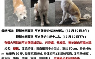 小米最可爱员工走失至今没有新线索：官方悬赏 1万元寻狗！