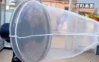 低成本高效灭蚊！女子自制捕蚊器5小时抓五六十只蚊子！