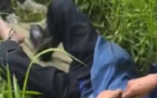 老人被五步蛇咬伤打16支血清保住脚趾 晚半个小时就有生命危险！