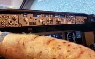 史上第一次！飞机被天外来客砸中 无奈迫降！