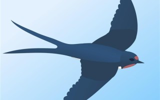 大量燕子滞留 它们为啥来不及南飞：原因揭开！