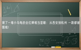 背了一堆小乌龟的全红婵相当显眼：从西安到杭州 一路都被围观！