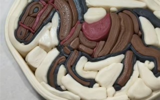 用天然果蔬调色！女子自制马年主题饺子皮 ！