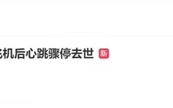 女子坐11小时飞机后心跳骤停：最终不幸去世!