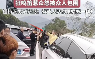 男子走应急车道鸣笛惹众怒被包围 怒骂：你们这些人活得像蝼蚁一样！