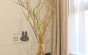 家里养龙柳禁忌（家居养护龙柳应避免的禁忌）