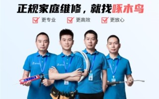 小病大修、无病乱修被315点名！啄木鸟公示整改方案！