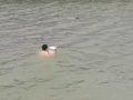 男子不熟悉水性抱水桶下河救人 网友点赞！