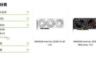 Intel的第一次24GB！锐炫Pro B60没跑了！