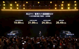 理想问界结合体 奇瑞全尺寸新能源SUV风云T11开售：19.99万起！