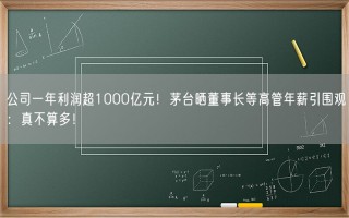 公司一年利润超1000亿元！茅台晒董事长等高管年薪引围观：真不算多！
