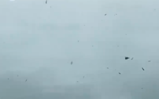 福建雷雨渡江如天降瀑布 江岸雨瀑弥漫狂风呼啸！