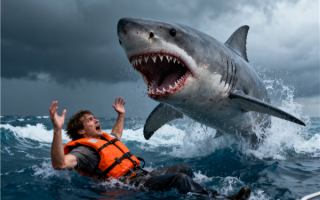 墨西哥鲨鱼专家被鲨鱼攻击：我整个头都在它嘴里 鲨鱼也受到了惊吓 但这不是鲨鱼的错！