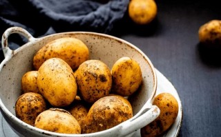 容易消化的细纤维蔬菜（易于消化的细纤维蔬菜推荐）