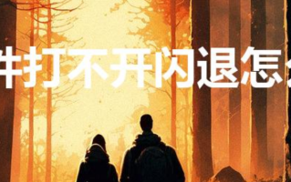 软件打不开闪退怎么办（手机软件打开闪退怎么办）
