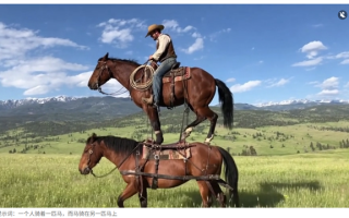 全球首个！OpenAI将推“AI版抖音”：禁止上传实拍内容 视频100%由AI生成！