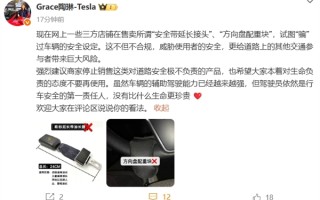 “夺命配件”真的要命！特斯拉陶琳：希望大家本着对生命负责的态度不要再使用！