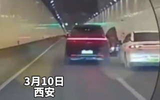 西安一理想汽车车主隧道内突然开车门 疑恶意别车：官方回应 网友喊话应重罚！