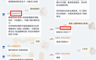 宠物客服首次“亮证”上岗！天猫试点上线持证兽医师、营养师客服 为铲屎官提供专业养宠建议 ！