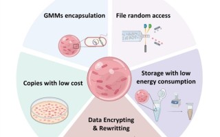 清华大学研发细菌彩珠硬盘：突破DNA存储瓶颈 一个冰箱体积能存2.6亿TB数据！