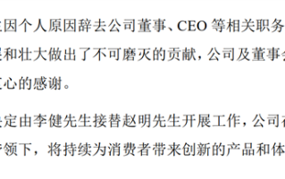 荣耀CEO赵明公布离职原因：公司需要系统性解决一些问题 股票还在荣耀！