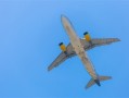 被称是无法击落的飞机！波音宣布新版“空军一号”飞机交付时间：39亿美元打造！