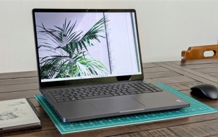 NVIDIA RTX PRO 5000专业显卡首测：居然搭配128GB CAMM2内存！