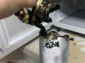 千万别做！奶茶放入微波炉加热 30秒后火光冲天！