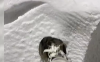 河南鹅毛大雪满天飞 积雪脚脖子深！