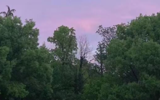 与领导层薪酬挂钩，微软将安全视为新的首要任务！