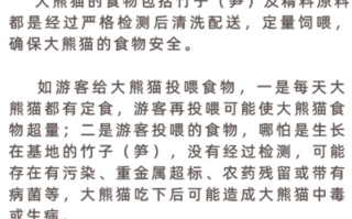 两人被终身禁入成都熊猫基地：假期参观时擅自投喂苹果！