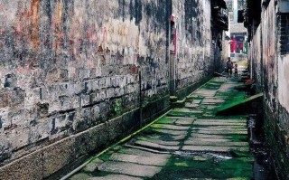 江西宜春必去旅游景点（推荐江西宜春的十大必游景点）