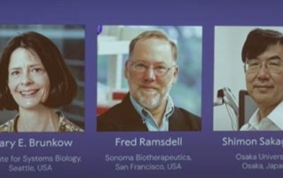 2025年诺贝尔生理学或医学奖公布！三位科学家获奖 奖励832万元！