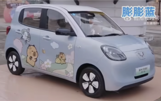 联名卡皮巴拉小黄豚！五菱宏光MINIEV四门版实车曝光！