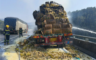 10万枚鸡蛋差点全烤熟！散落高速一片狼藉!