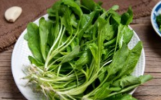 荠菜怎么做好吃（速冻荠菜怎么做好吃）