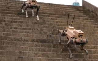 中国造出机器狼群兵器：头狼、射手、辅助 多角色协同作战！