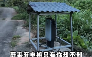 蔚来车主在山沟里安了一根充电桩 免费共享！网友：真新时代赛博土地庙！