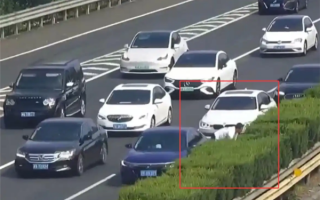 熊孩子发脾气扔出金项链 父母不顾一切在高速上停车寻找！