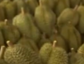 榴莲价格暴跌50%销售火爆 有人买了50箱!