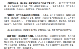 男子网暴小米汽车被刑拘！人民日报呼吁打击网络“黑嘴”：打得一拳开 免得百拳来 ！